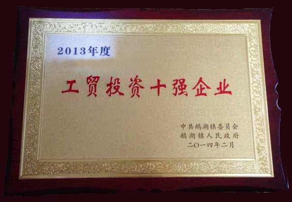 2013年度工貿(mào)投資十強(qiáng)企業(yè)